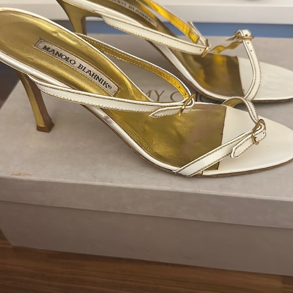 Manolo Blahnik Shoe.